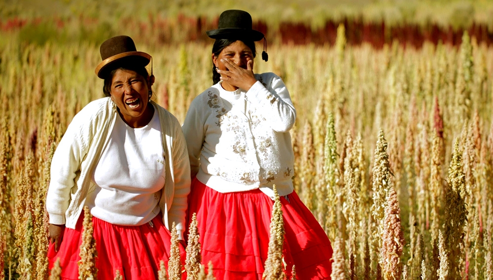 Peruvian peasant women in grain field
