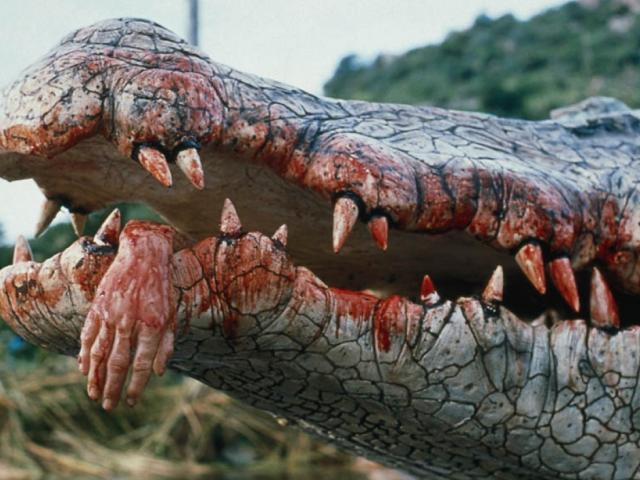 Bloody hand dangling from alligator's mouth. 