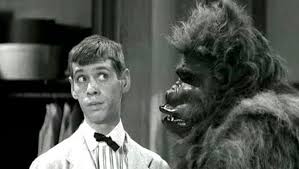 Sammy Petrillo and gorilla in Bela Lugosi Meets a Brooklyn Gorilla 