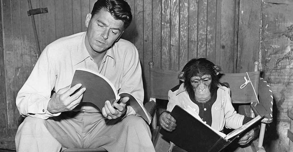 Ronald Reagan and Bonzo the Chimp. 