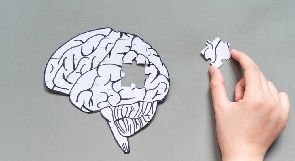 Brain as jigsaw puzzle 