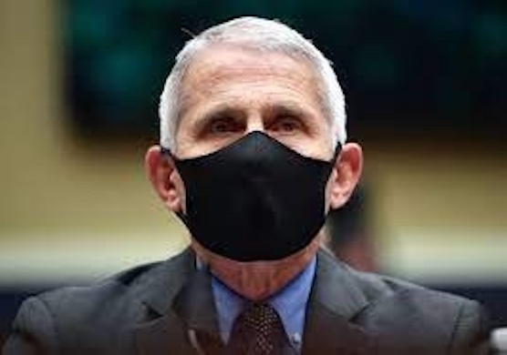 Anthony Fauci in mask